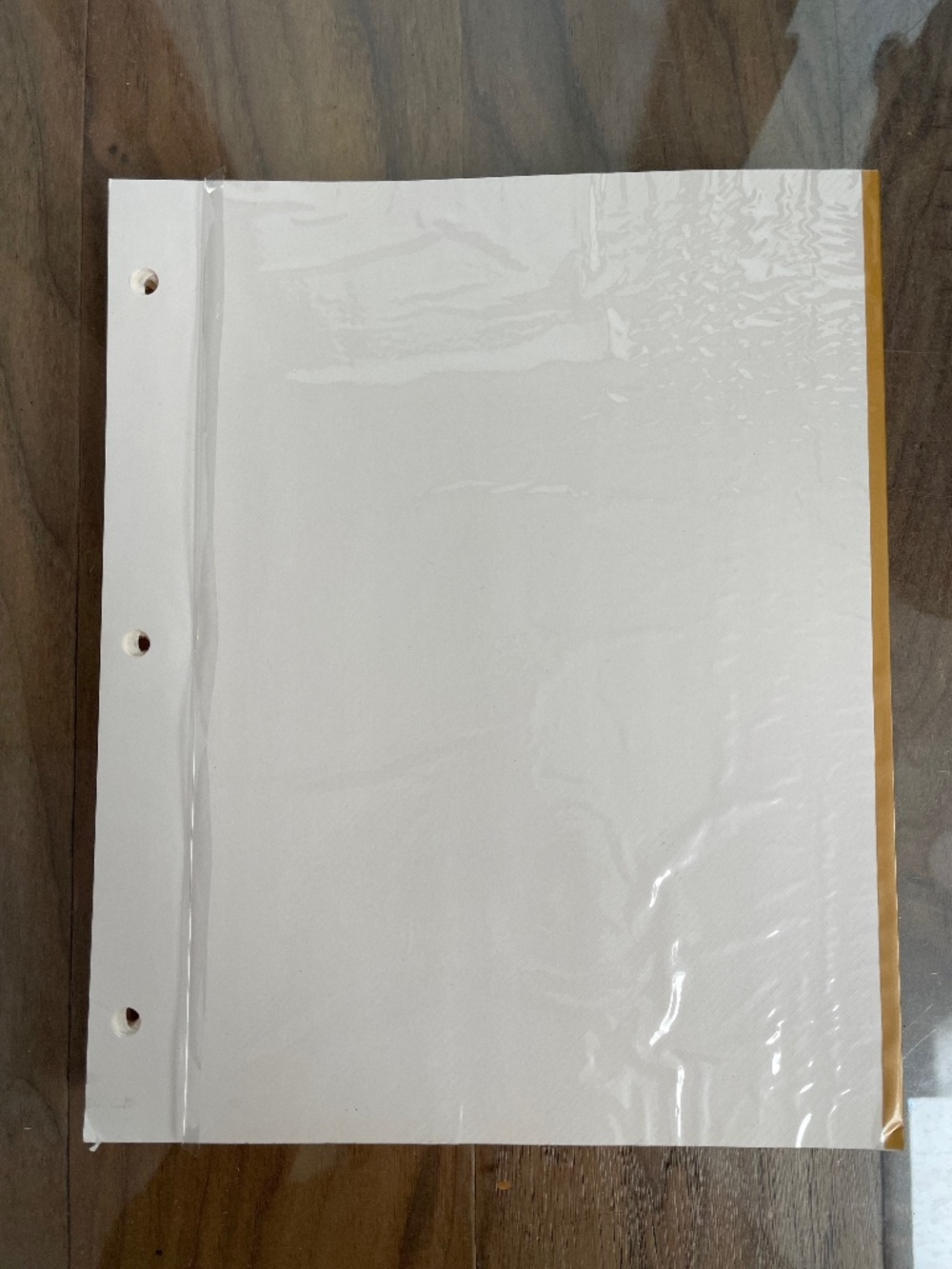64-Pack of Self-Adhesive Photo Album Refill Pages for 3-Ring Albums